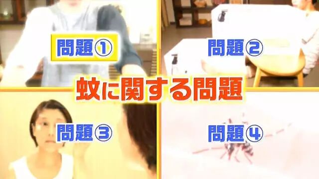 综艺节目解说《蚊子为什么爱叮你》夏天穿黑色衣服是自讨苦吃…… - 图片2