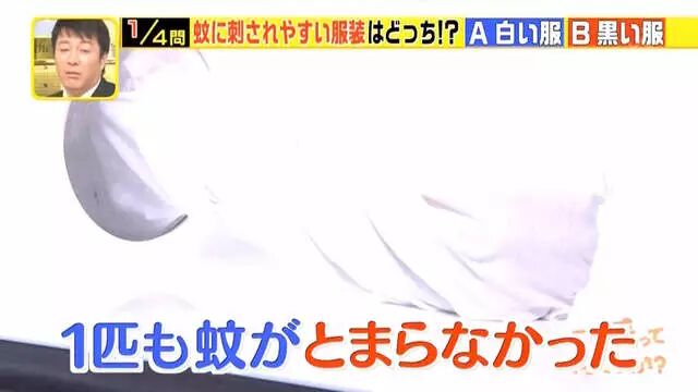 综艺节目解说《蚊子为什么爱叮你》夏天穿黑色衣服是自讨苦吃…… - 图片5