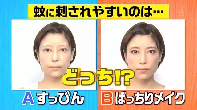 综艺节目解说《蚊子为什么爱叮你》夏天穿黑色衣服是自讨苦吃…… - 图片19