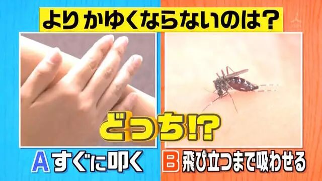 综艺节目解说《蚊子为什么爱叮你》夏天穿黑色衣服是自讨苦吃…… - 图片22