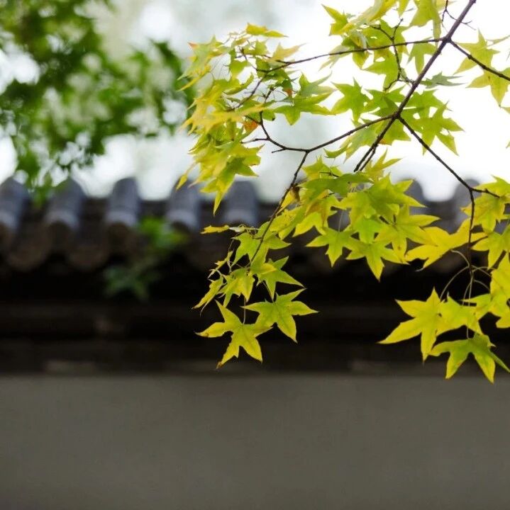 跟着弘一法师这么做，越来越顺！