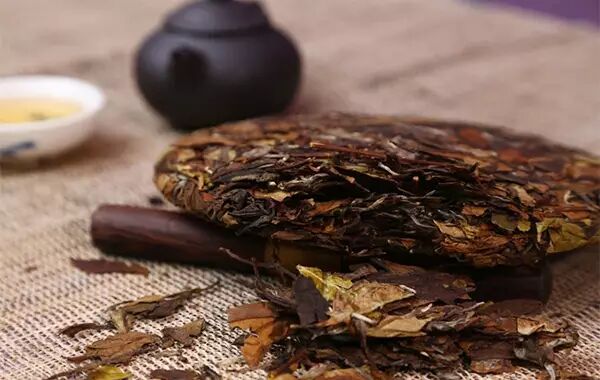 老白茶开饼，需要醒茶吗？