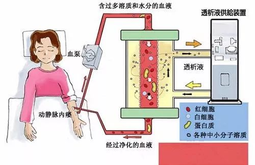 阜阳出台独立血液透析中心设置规划