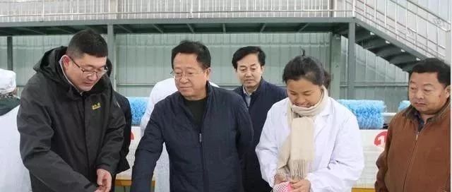 李炜深入圆方集团和环保局进行调研