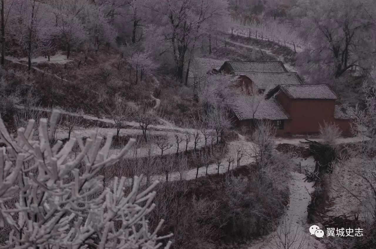 秦加草头是什么字_草字头加秦_秦字加草字头