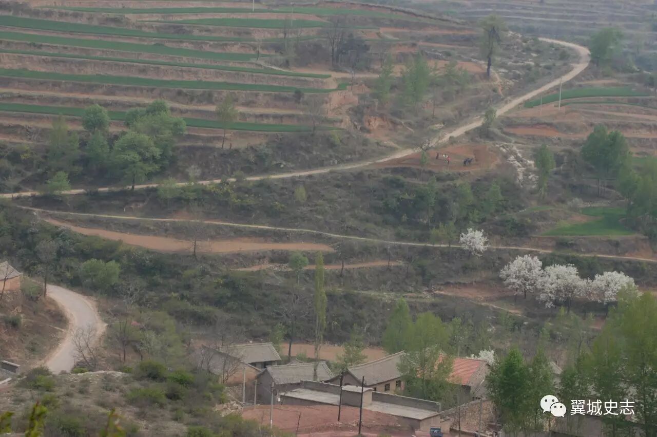 秦加草头是什么字_秦字加草字头_草字头加秦