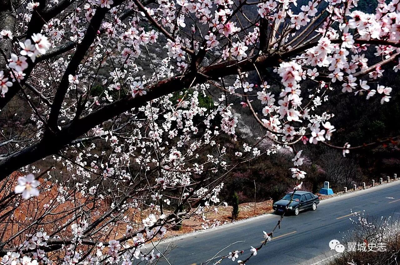 秦加草头是什么字_秦字加草字头_草字头加秦