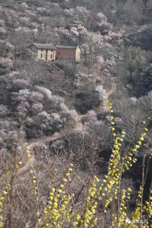 秦加草头是什么字_草字头加秦_秦字加草字头