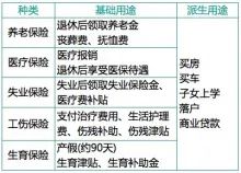 社会保障名词解释_解释英文名词_网络名词流行用语解释