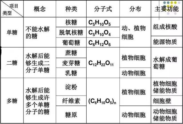 高一生物必修一第二章第四节知识点