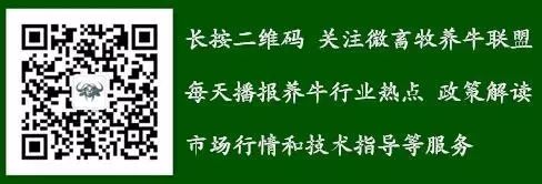 牛病讲堂:怀孕母牛禁用药物!