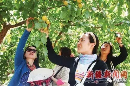 新疆铁路护轨项目招工_新疆铁路规划_新疆铁路