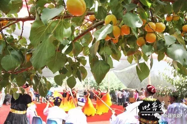 新疆铁路_新疆铁路规划_新疆铁路护轨项目招工