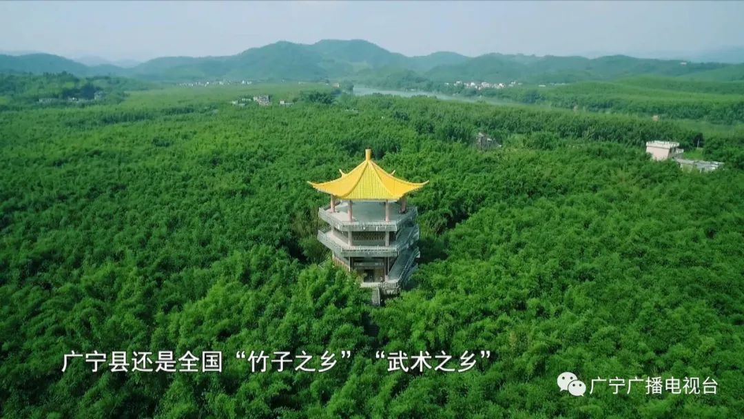 广宁厨界大片粤菜师傅61竹乡名厨一起为广宁厨师加油