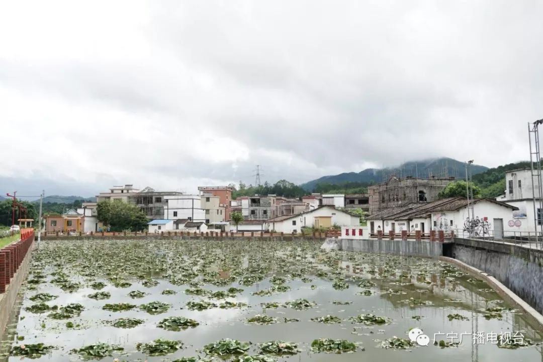 宅内古村是江美村的古村落,较好保存有锅耳屋,门楼,土府等古代岭南