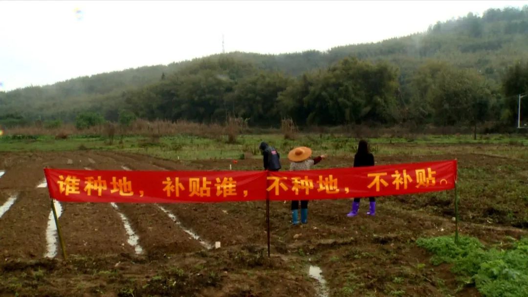 撂荒耕地之一,今年该镇在这里建设农田水利,村民已经开始自行复耕复种