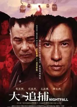 电影top10：十大经典香港警匪电影片