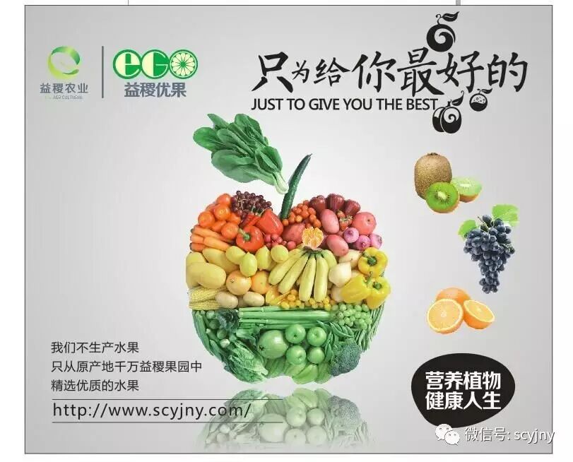 果农必看：水果种植业的五大风险，个个致命！