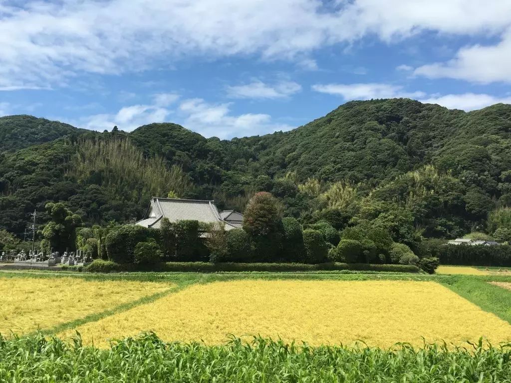 在城市工作,周末到乡间生活,这一家把田园梦想变成了触手可及的现实