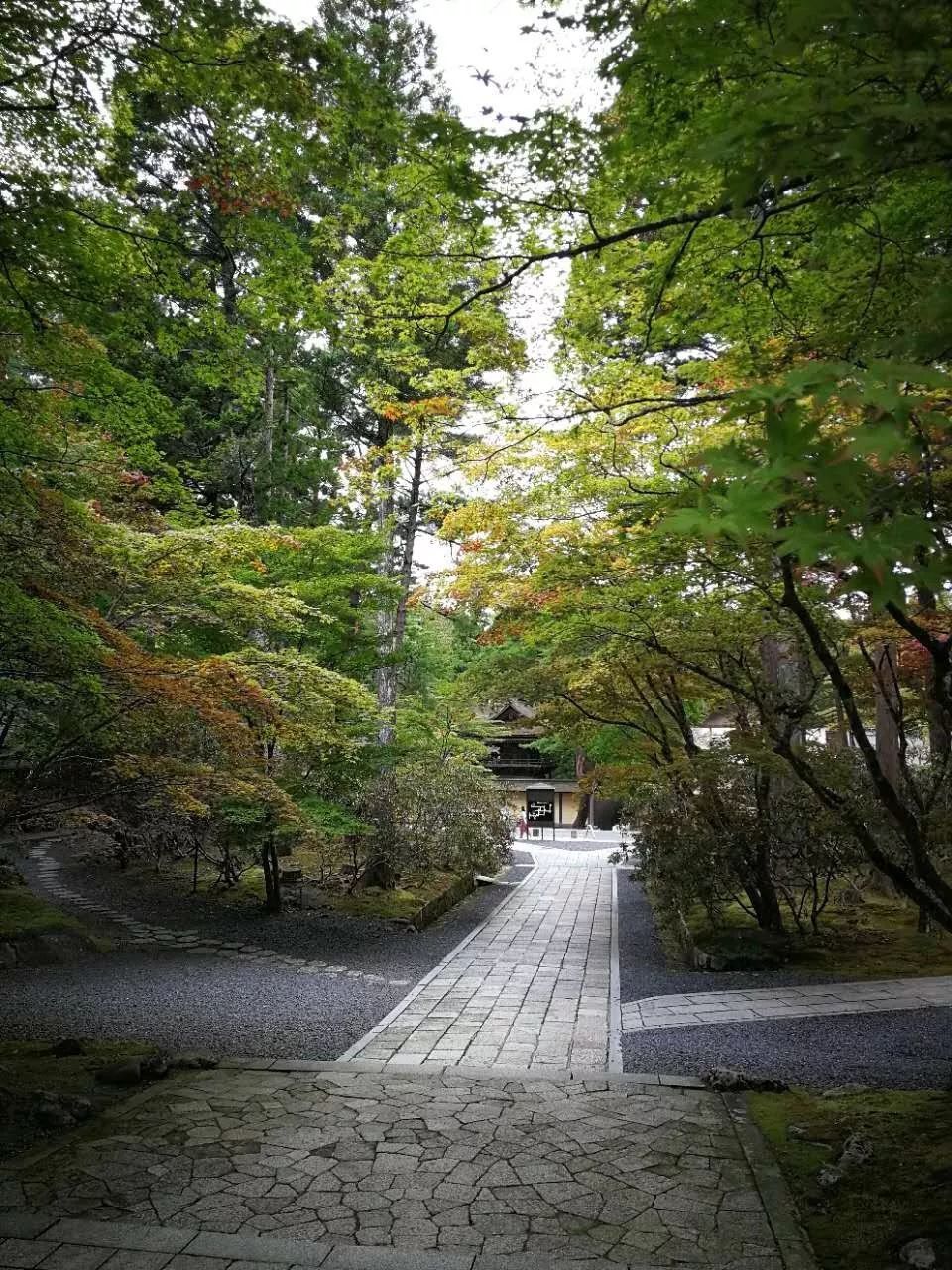 除了金刚峰寺,坛上伽蓝,奥之院这三大部分,高野山还分布着其他一些