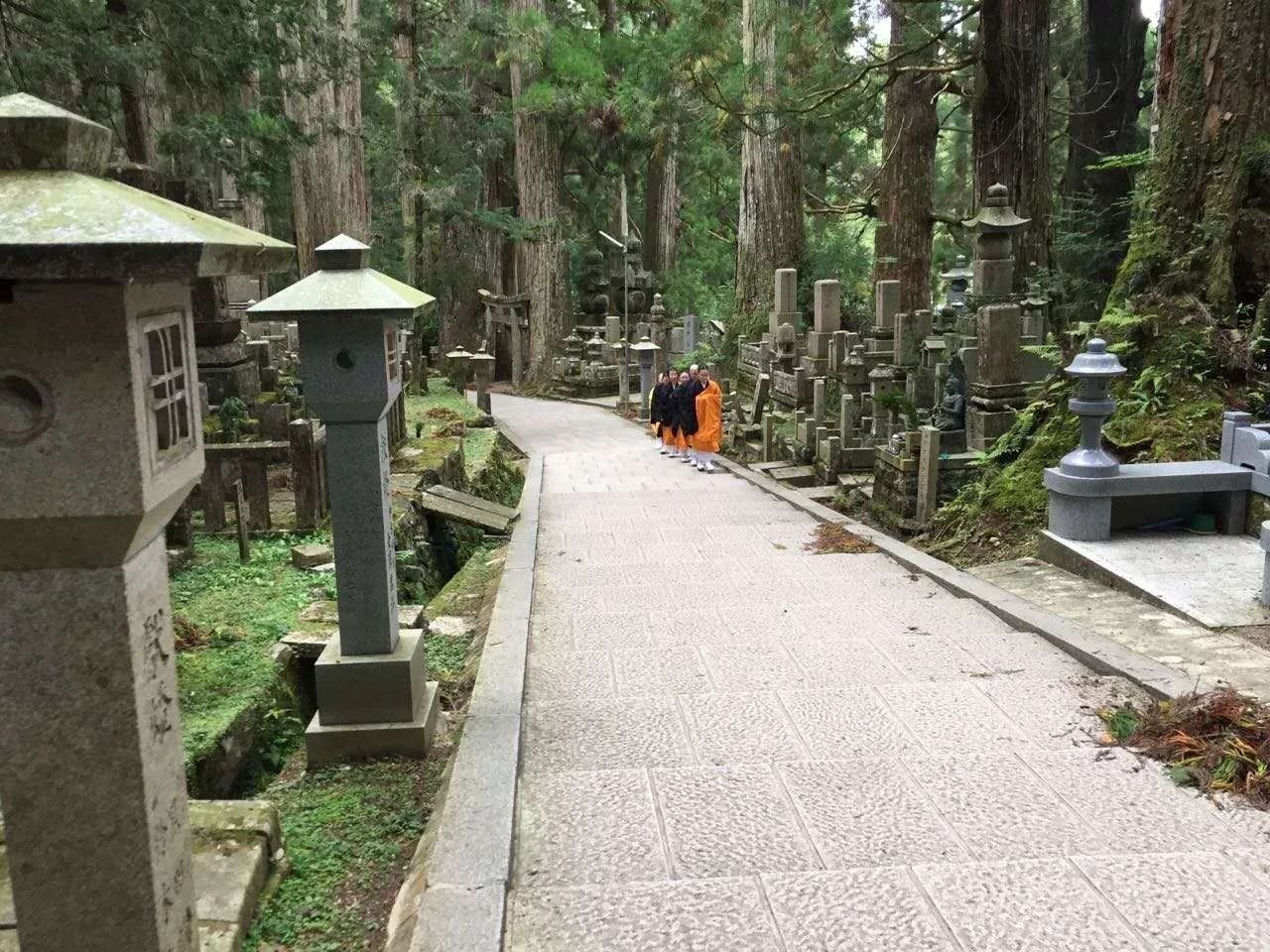 禅游佛教圣地——高野山