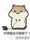 要说这两人，脑回路也是清奇！