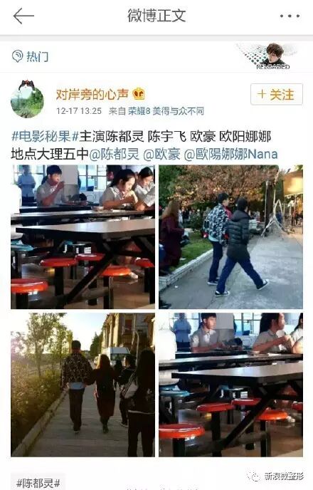 路透照