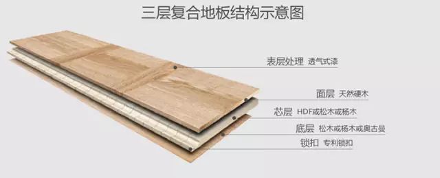 番龍眼地熱地板_番龍眼木地板缺點(diǎn)_番龍眼地板價(jià)格