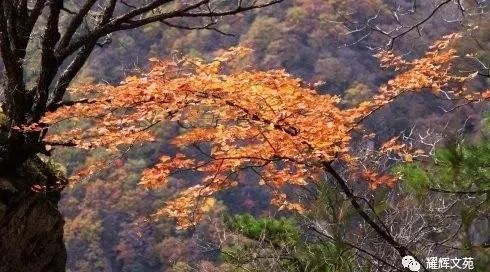 深秋“朝圣”牛背梁