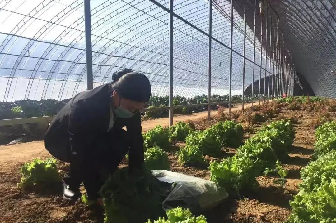 窝居 家具_窝居 迅雷下载_窝居