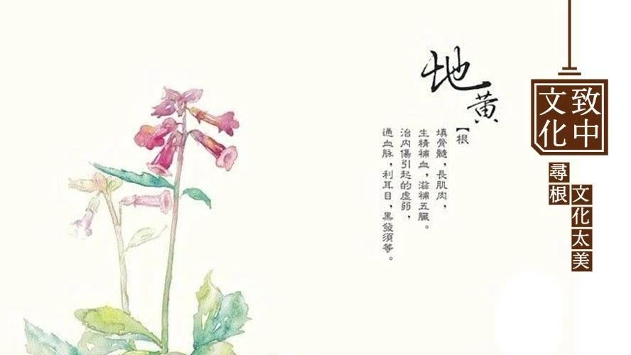 医话疾病要断根,关键是养心!这四招妙不可言