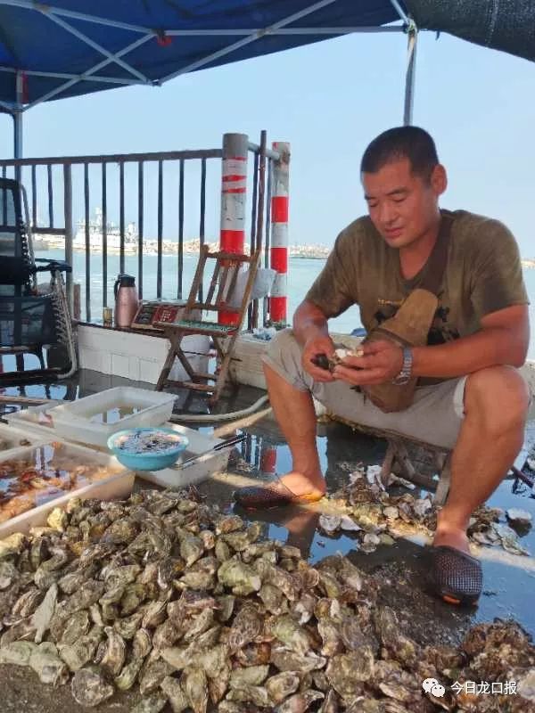 龙口港栾码头有女孩溺水!"海鲜哥"纵身一跳