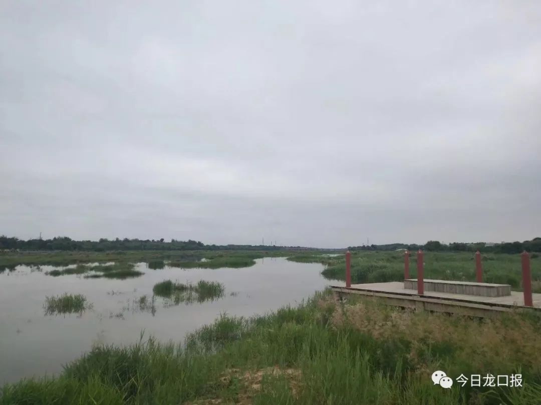 惊呆!暴雨过后的龙口,王屋水库,黄水河