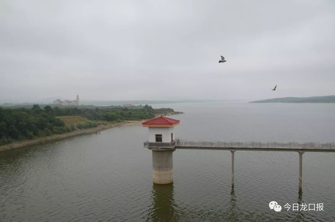 惊呆!暴雨过后的龙口,王屋水库,黄水河