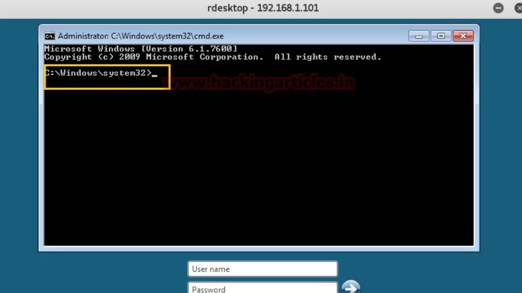 Example Image