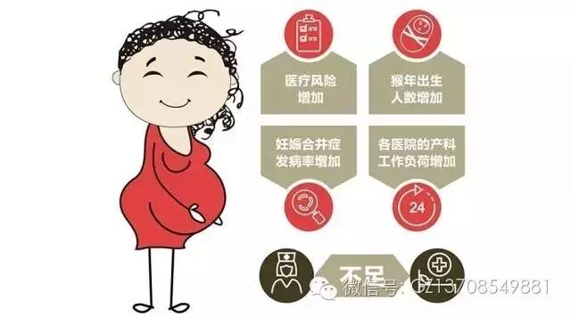 二胎高峰来了!【国珍营养套餐】防辐射(孕妇)-怀孕期