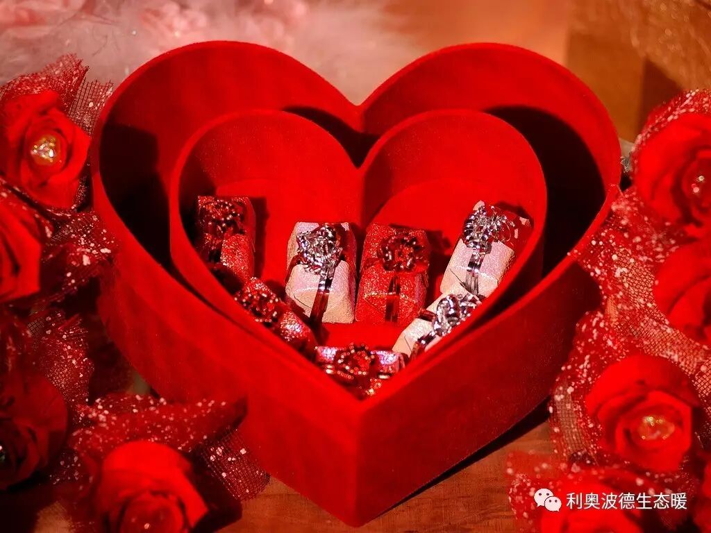 【利奥波德】生活没有仪式感,即使天天情人节也不蜜!