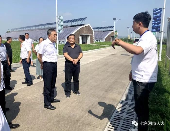 市人大视察上半年国民经济和社会发展计划执行