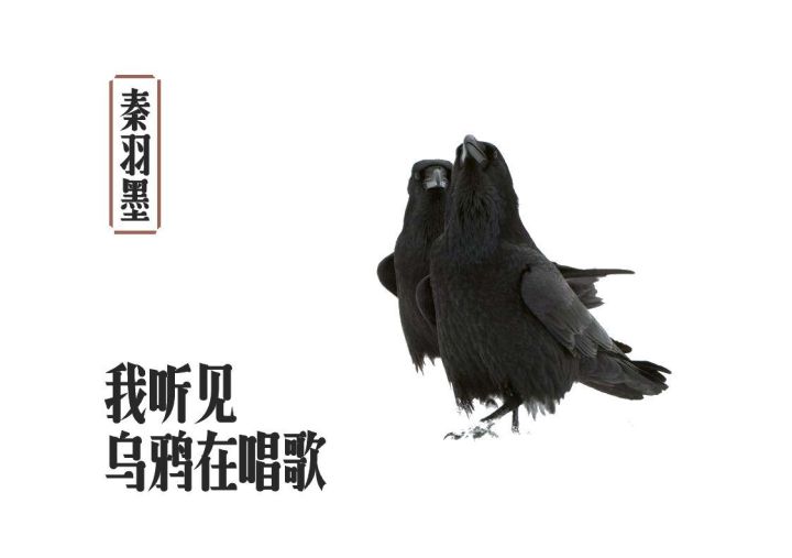 作品|秦羽墨:我听见乌鸦在唱歌