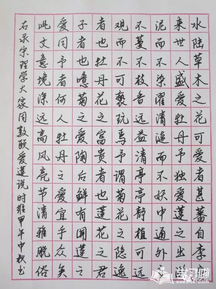 爱莲说硬笔楷书字体书法作品