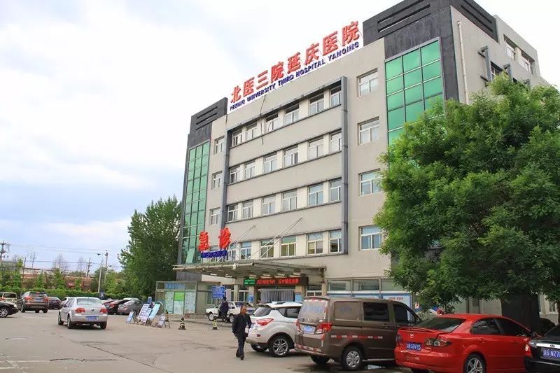 接力 从北医三院延庆医院到北医三院本部,应用亚低温技术救治心脏骤停