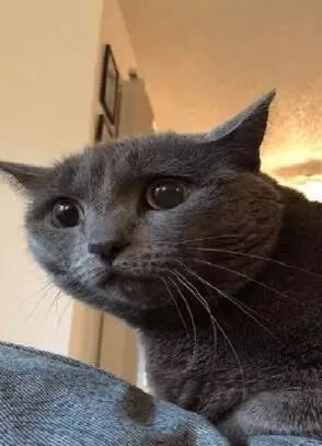 看来我在家里的地位不保了