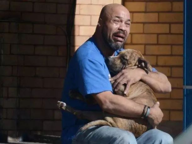 主人别哭，下辈子我还要做你的狗狗