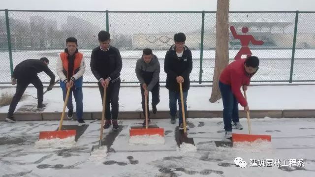 团结互助,温馨校园——我系组织扫雪活动