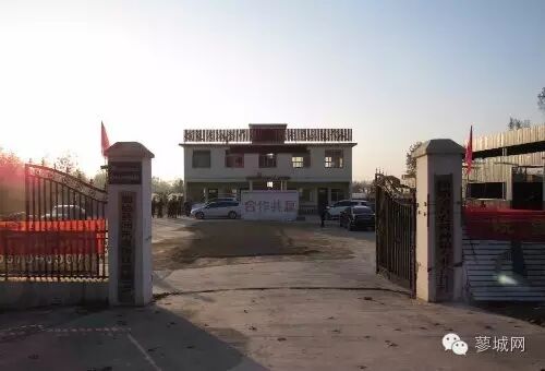 【特色农业】固始县再生“二胎稻”第二季割前工作调研-怀孕期