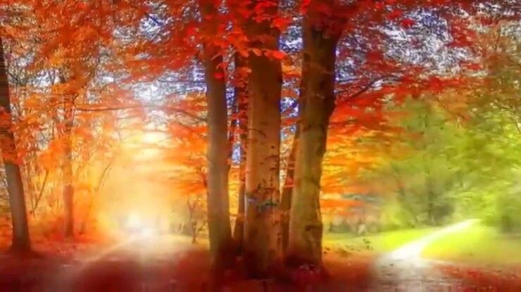 用音乐传递问候，周三快乐！