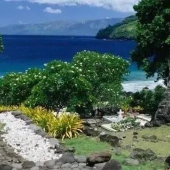 瓦努阿图移民生活的衣、食、住、行方面消费怎样？