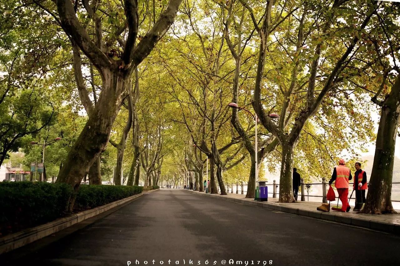 又有"听疏雨梧桐,雨余淡月朦胧","梧桐更兼细雨,到黄昏,点点滴滴"更是