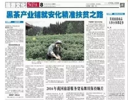 央视特别报道《安化：黑茶铺就脱贫路》