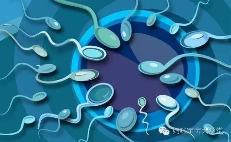 不怀孕?也许是男性弱精症!-怀孕期